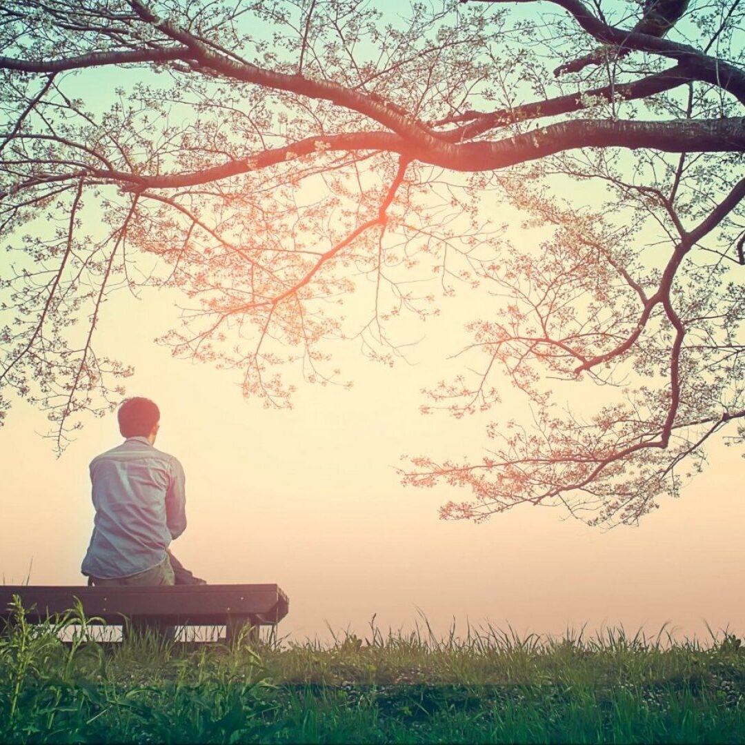 man facing away sitting on a bench